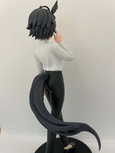 Luminasta 剧场版 赛马娘 新时代之扉 富士奇石