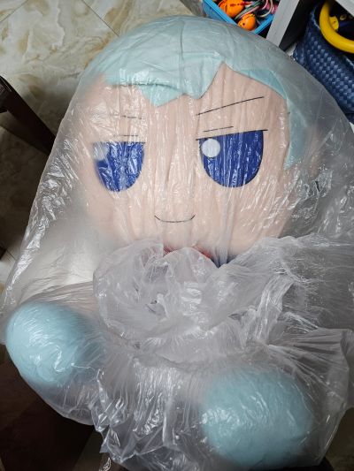 东方布偶系列 EX17 琪露诺1.5 毛绒绒琪露诺