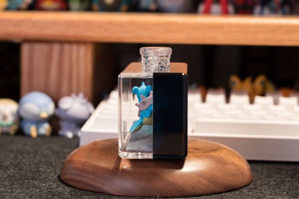 宝可梦 水瓶系列2 难忘的海边回忆