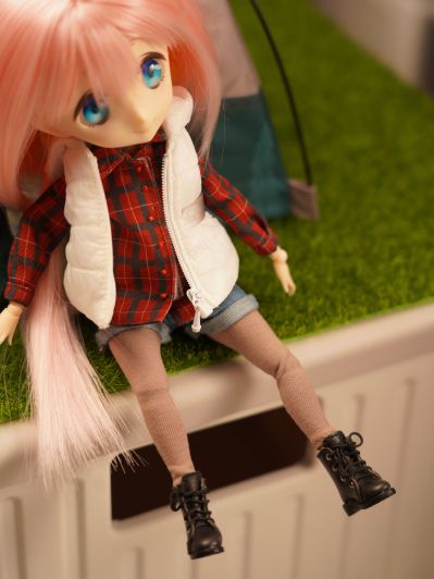 Harmonia humming 摇曳露营△ 各务原抚子