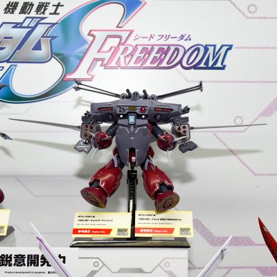 METAL ROBOT魂 ＜机动战士系列＞骁骑艾弗里德