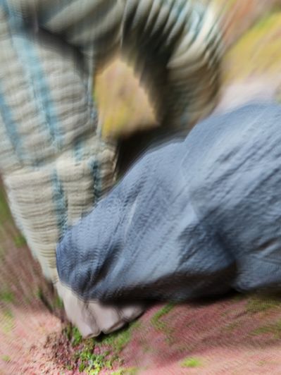 S.H.Figuarts  雷德王