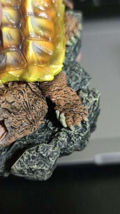 生物大图鉴 迷你系列 龟01