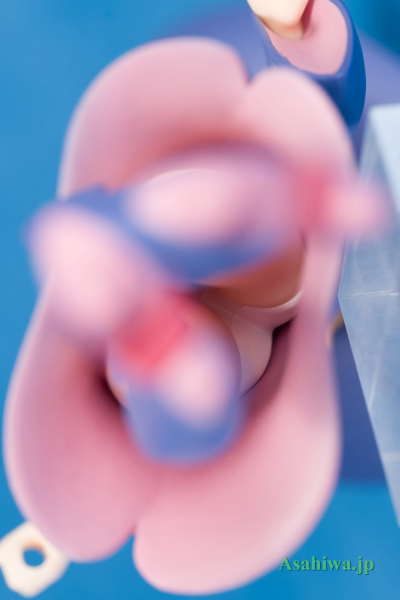 POP UP PARADE 小魔女学园 洛蒂·杨森