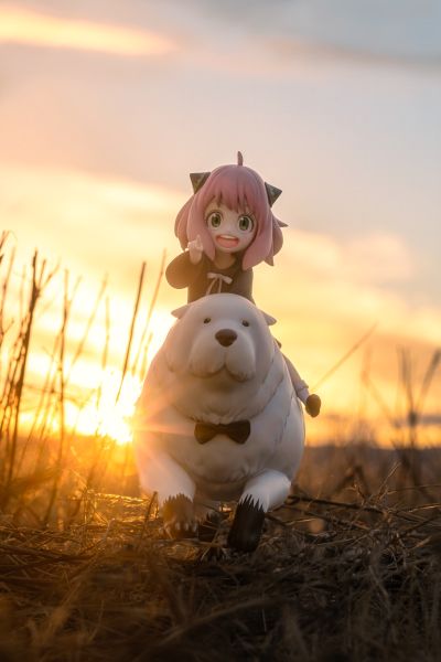 间谍过家家 阿尼亚 与 劳埃德