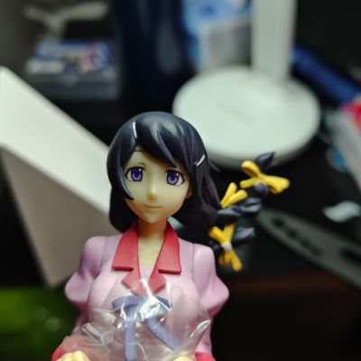 DXF 手办 化物语 羽川翼 