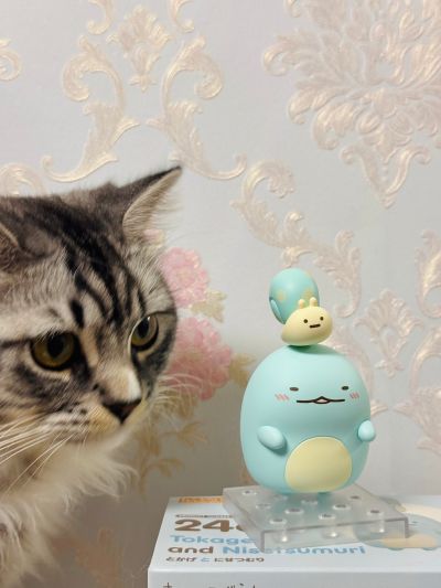 粘土人#2460 角落小伙伴  蜥蜴和假蜗牛