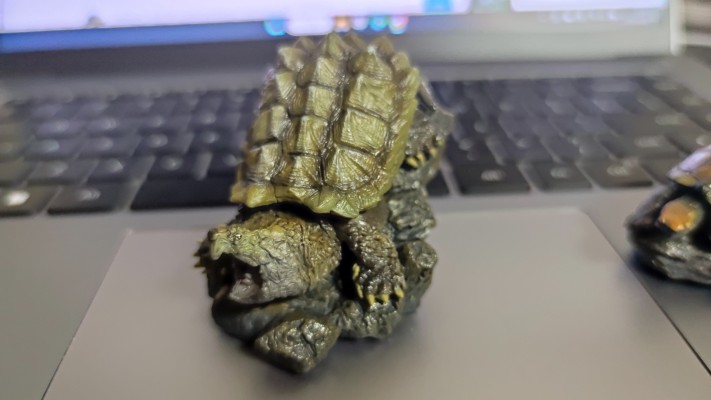 生物大图鉴 迷你系列 龟01