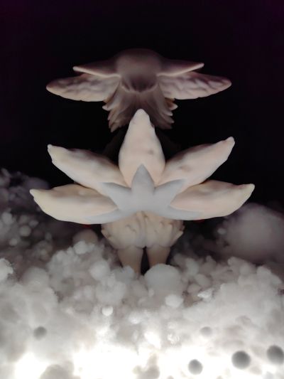 来自深渊 烈日黄金乡 梅尼亚/咪喵