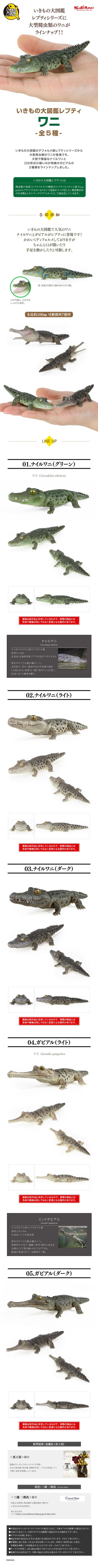 爬行生物大图鉴 鳄鱼