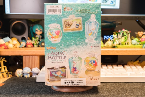 宝可梦 水瓶系列2 难忘的海边回忆