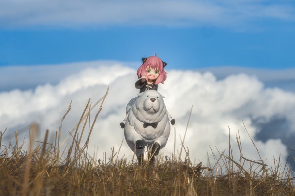 间谍过家家 阿尼亚 与 劳埃德