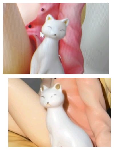 樱花庄的宠物女孩 椎名真白