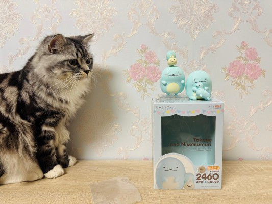 粘土人#2460 角落小伙伴  蜥蜴和假蜗牛