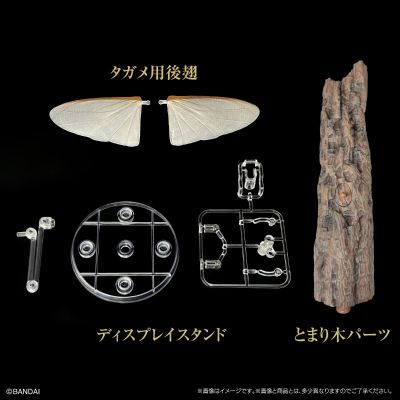 生物大图鉴专用 展示架套装 栖架+田鳖后翅