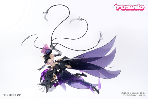 萝莎计划 星花·黑鸢尾