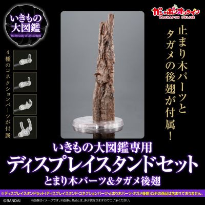 生物大图鉴专用 展示架套装 栖架+田鳖后翅