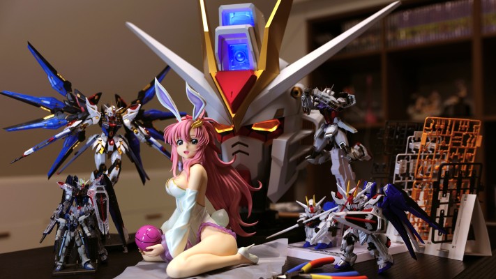 B-style 机动战士高达SEED 拉克丝·克莱茵 裸腿兔女郎