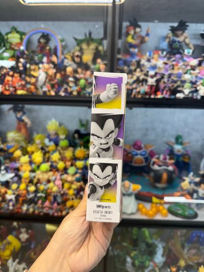 S.H.Figuarts 小贝吉塔-龙珠大魔-