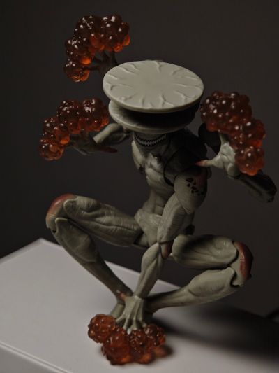 S.H.Figuarts 怪兽9号