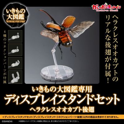 生物大图鉴专用 展示架套装 长戟大兜虫后翅