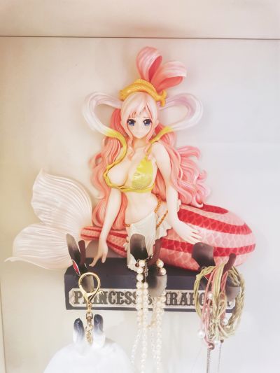 航海王 H.O.O.K.DX ～白星公主～