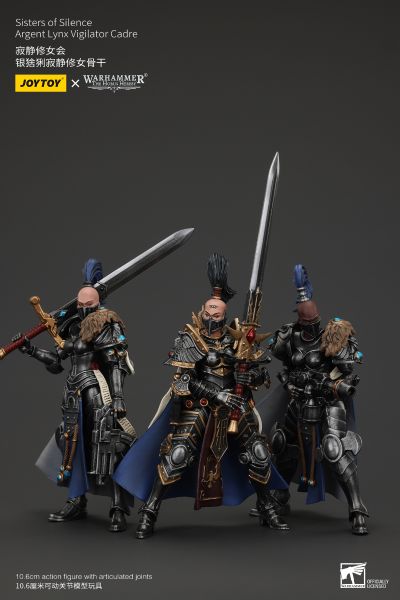 战锤:荷鲁斯叛乱 寂静修女会 银猞猁寂静修女骨干 寂静修女2