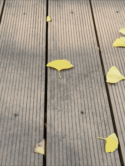 Sarah's a la Mode 艾丽莎 meow×meow a･la･mode～ 秘密故事 蔷薇火绒草