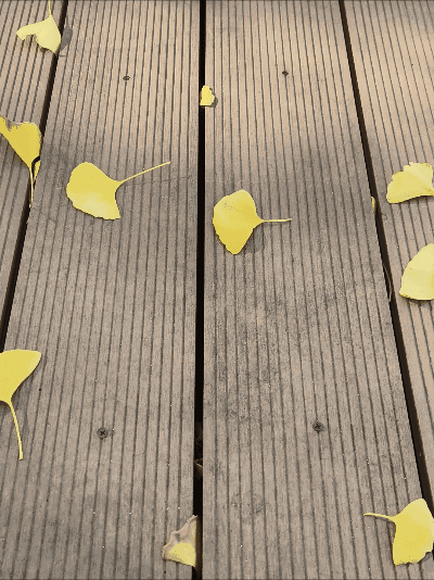 粘土娃 间谍过家家 阿尼亚·福杰