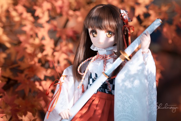 Dollfie Dream  DD 库特wafter 能美库特