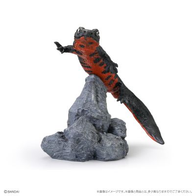 生物大图鉴 迷你系列 两栖类02