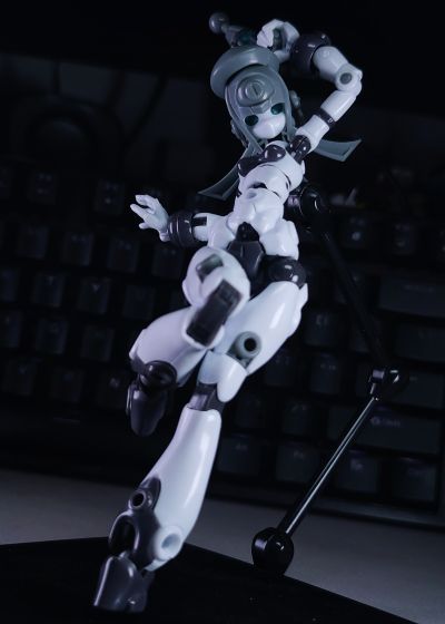 基因干涉系列 多米 素体套装