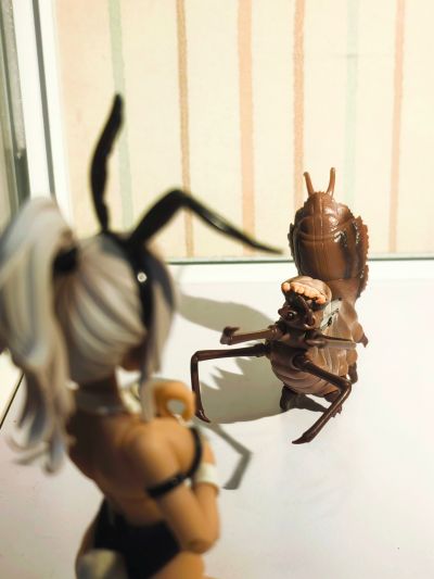 旋风兔兔号 载具 异色版