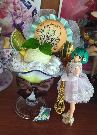 V.F.G. MC-09 超时空要塞F VF-25F 弥赛亚 兰花·李