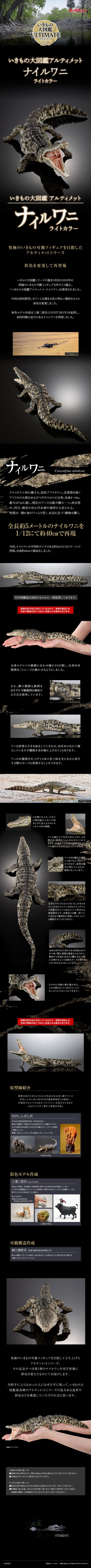 终极生物大图鉴 尼罗鳄（浅色）