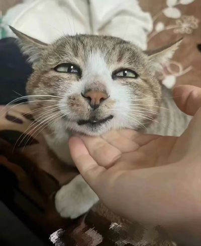 MMDCMT-13 黑暗之夜:金属  狂笑哈莉·奎茵