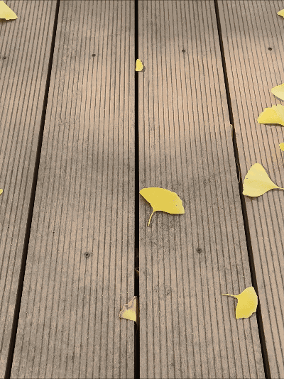 Fuwa Petit Q版玩偶 初音未来