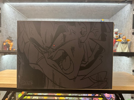 MATCH MAKERS  龙珠Z 贝吉塔（大战萨波）