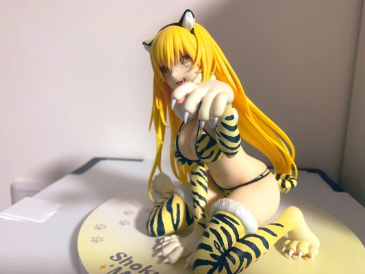 魔法禁书目录 食蜂操祈 虎纹比基尼