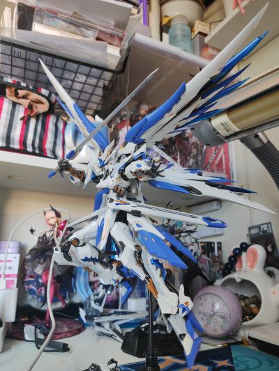 镜界山海 帝女雀·精卫