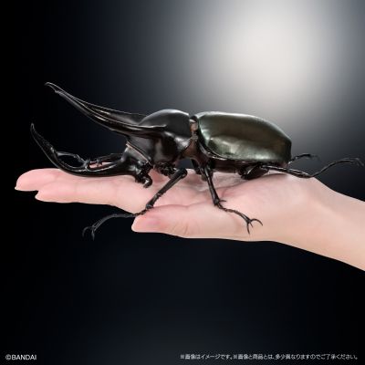 进化生物大图鉴 南洋大兜虫 展示架套装