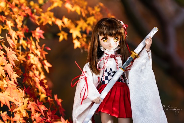 Dollfie Dream  DD 库特wafter 能美库特