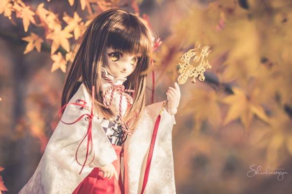 Dollfie Dream  DD 库特wafter 能美库特