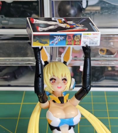 Vlocker's Fiore Iris