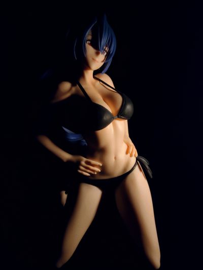 香格里拉边境   -Celestial vivi-天音永远