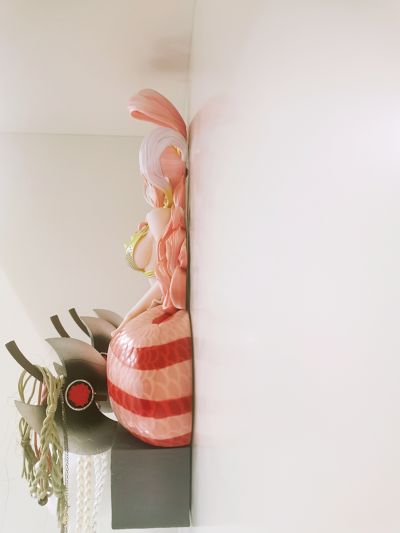 航海王 H.O.O.K.DX ～白星公主～