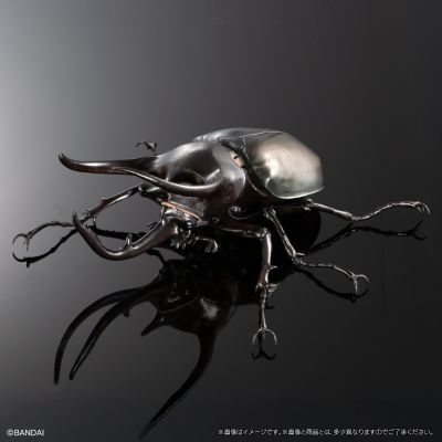 进化生物大图鉴 南洋大兜虫 展示架套装