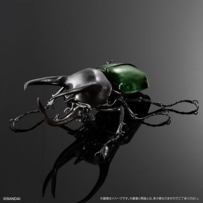 进化生物大图鉴 南洋大兜虫 展示架套装