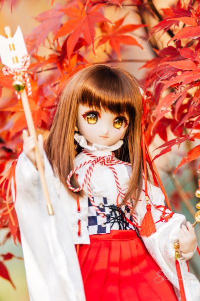 Dollfie Dream  DD 库特wafter 能美库特