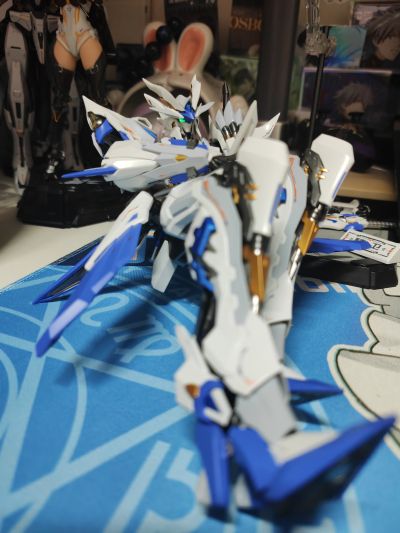 镜界山海 帝女雀·精卫